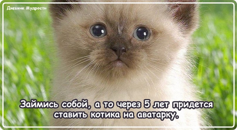 ��������)