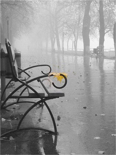 Настроение &ndash; ниже плинтуса&hellip; 
Дождь...