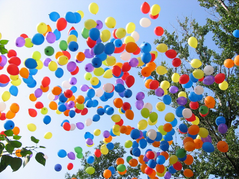 �������� ���� �� 20 ������! ������ �������