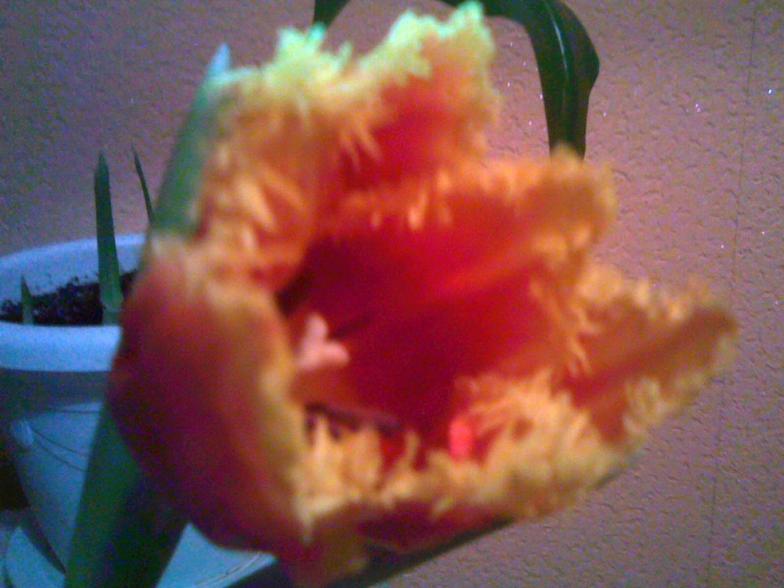 ������� ��� �������!