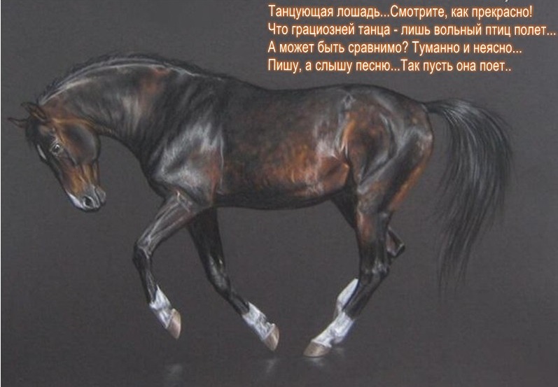 ��������� ����..