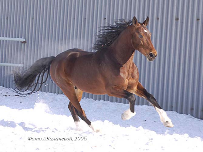 ������� �����!