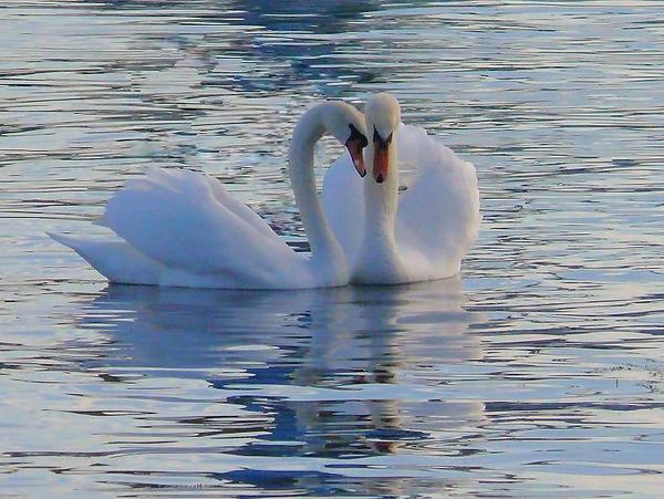 ������..