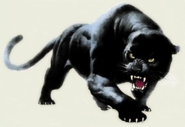 � � � ��� ����������..