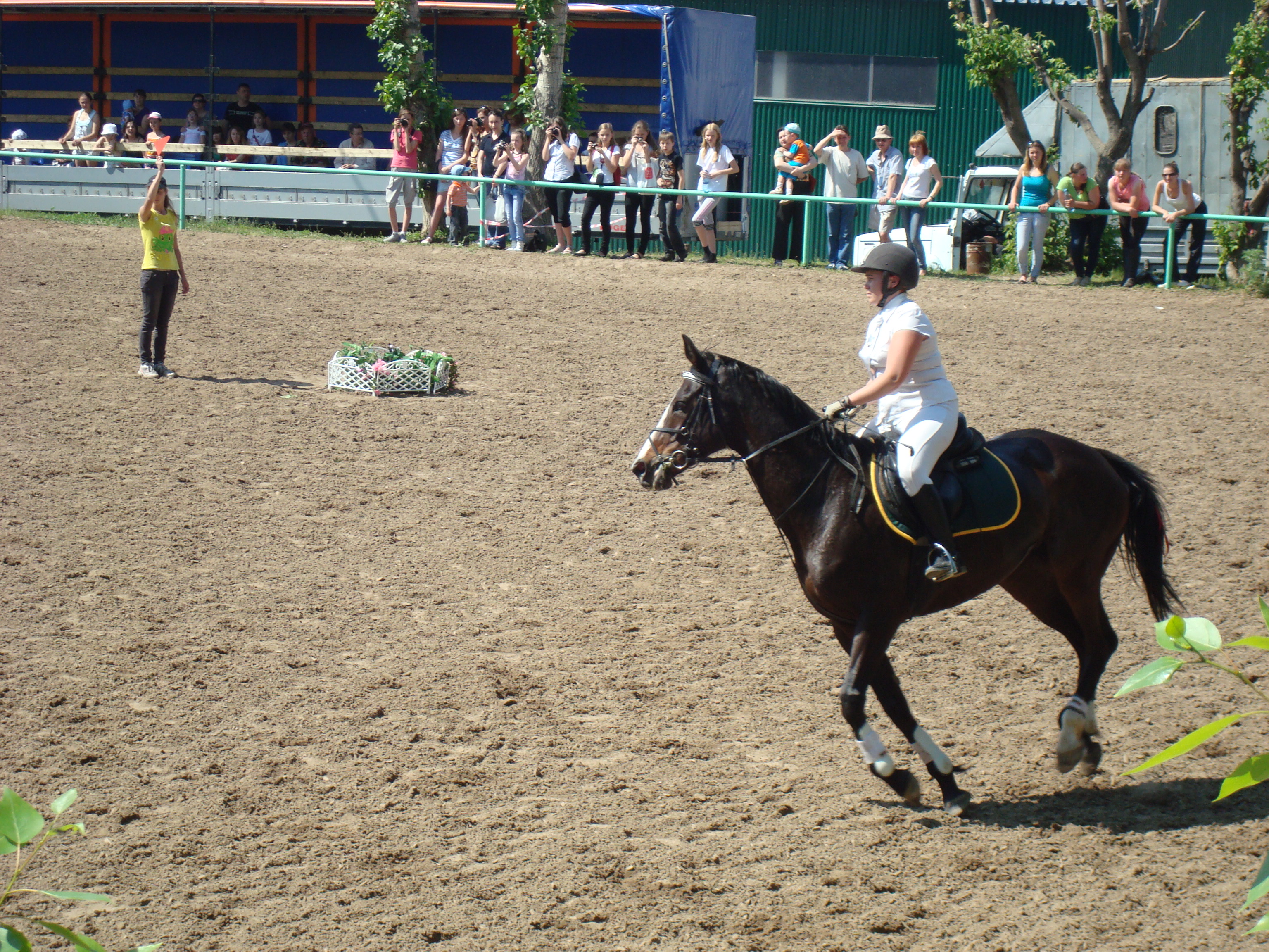 ������� � ��������