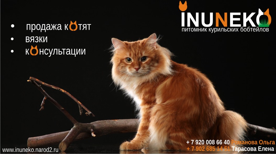 www.inuneko.narod2.ru