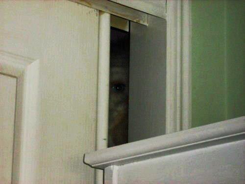 КТО ЭТО?????????? 
з.ы. слабонервн...