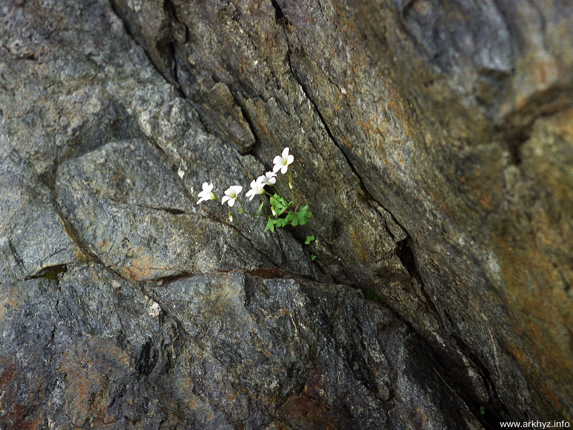 ��� ��������� �����-�������� ��� ��������� ����������)))