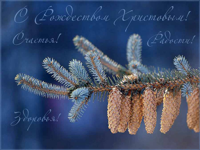 Пусть ночь искрится волшебством,...