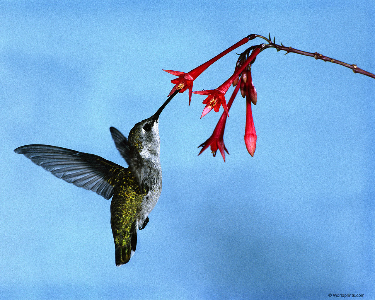 Странная штука жизнь, верно? Вот в...