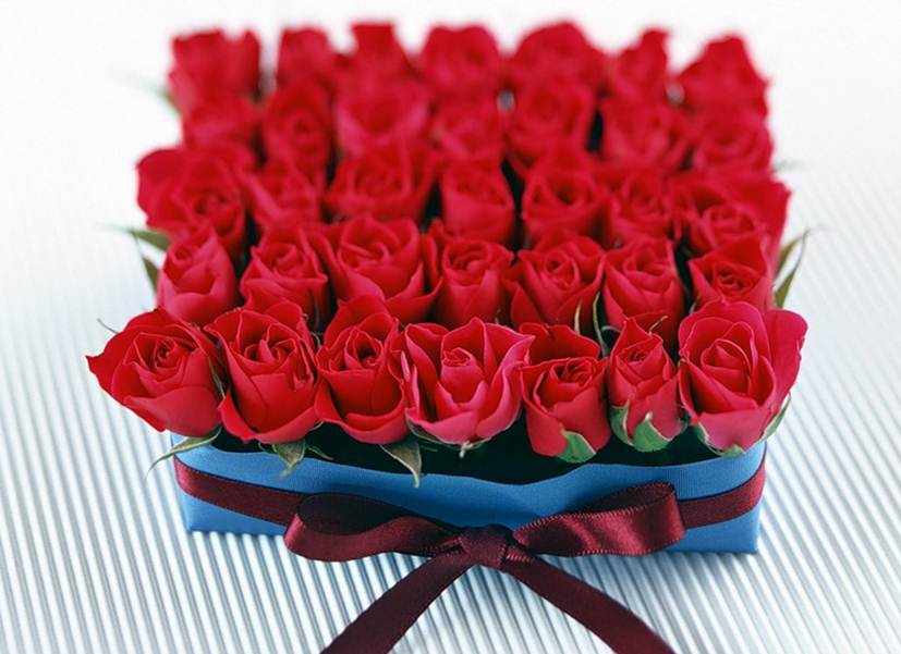 Дорогие девушки! 

Поздравляю вас...