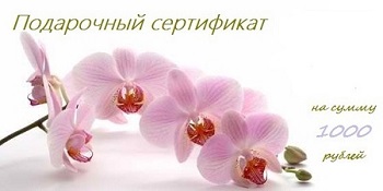 Слушайте радио Рандеву, отгадывайт...