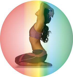 Сбор заказов. Ортопедическая проду...