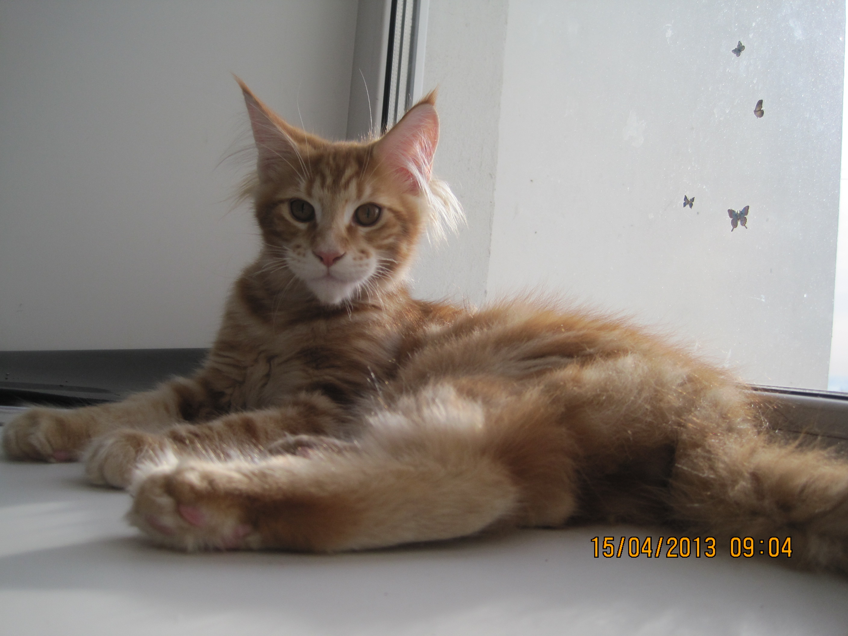 ������-��������� ��� ���! �� ��� 4 ������.