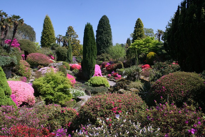 ПРИСТРОЙ РОДОДЕНДРОНОВ: 
 www.nn.r...