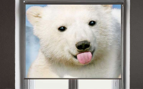 Рулонные фотошторы на заказ. Обнов...