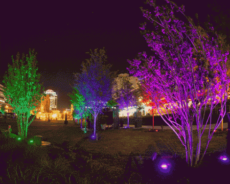 Сбор заказов Светодиодная лента пр...