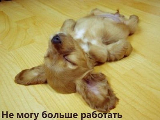 уезжаю в отпуск - с 15,07,13 по 29...