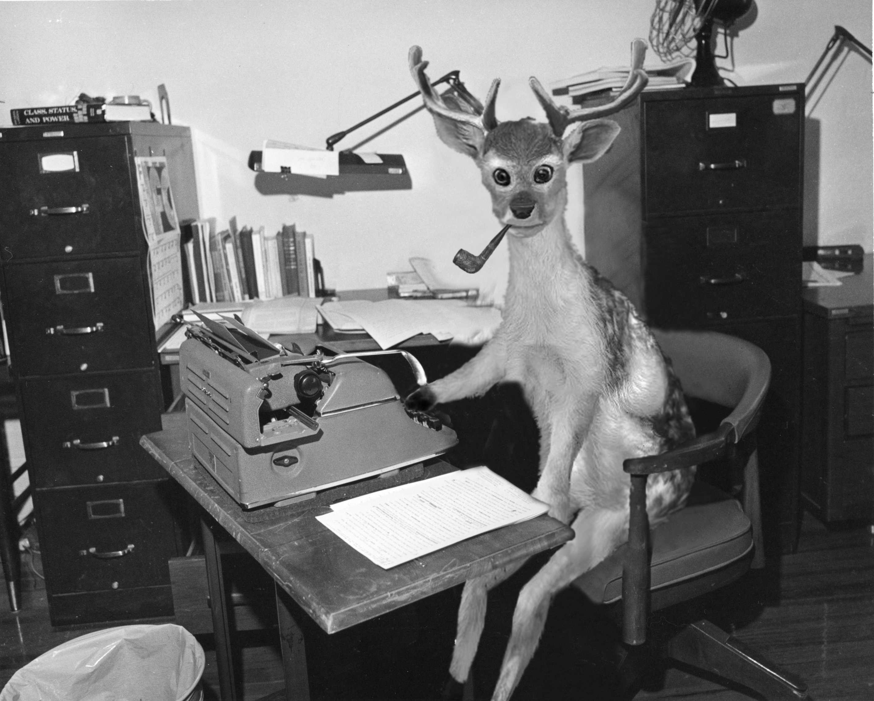 #Олень_Колумнист. Колонка главного...