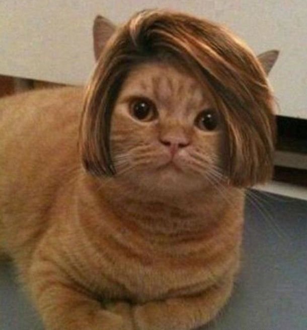 Девочки,до 31 августа скидки на бр...