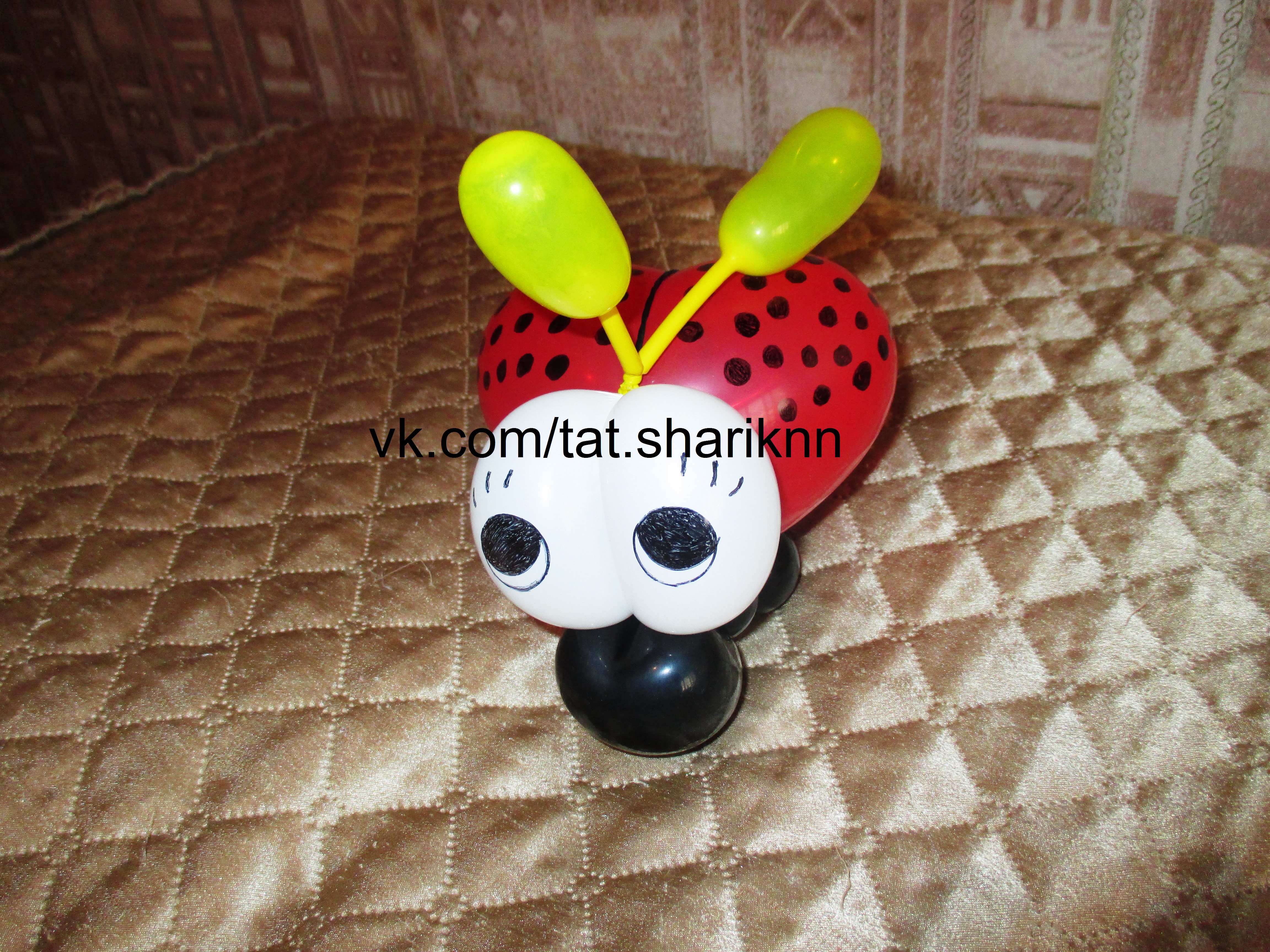 ����� ������� 50���. 
��������� � ���������