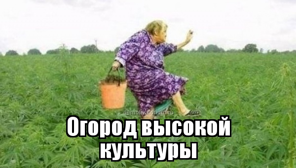 Тут про смешное. 

У начальника ла...