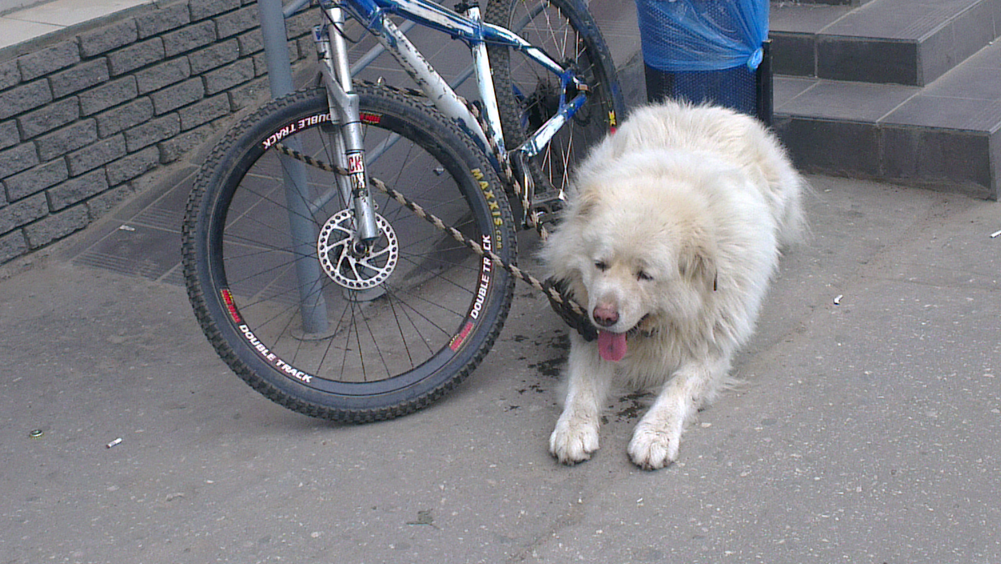 �����-������. ..