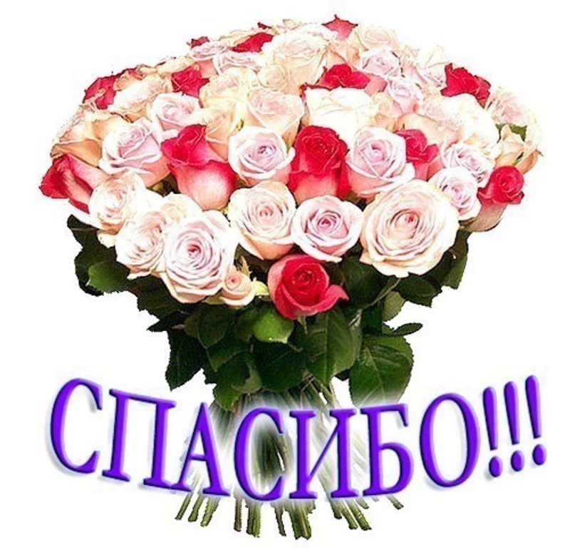 ДОРОГИЕ ДРУЗЬЯ!!! ВЫРАЖАЮ ВАМ ОГРО...