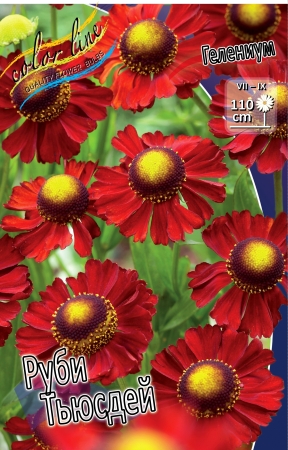 МНОГОЛЕТНИКИ (Корни) ВЕСНА 2014г....