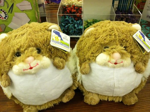 Сбор заказов. Пушистые кругляши дл...