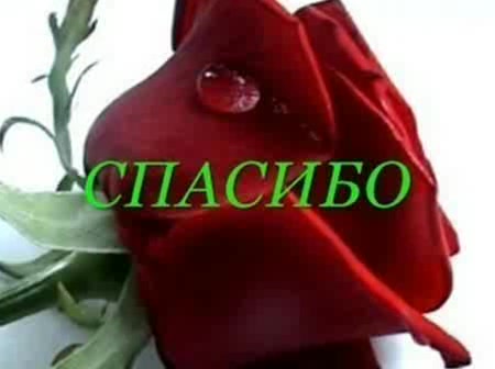 Дорогие мои участники и участницы!...