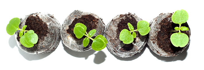 Второй мбор торфяные таблетки,тепл...