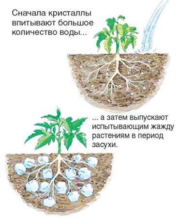 Сбор заказов. Гидрогель - незамени...