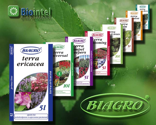 Сбор заказов.