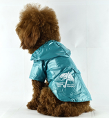 Сбор заказов. Собаки тоже хотят бы...