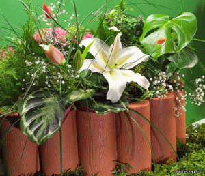 САДОВЫЙ АРСЕНАЛ! 
Арки, шпалеры, з...