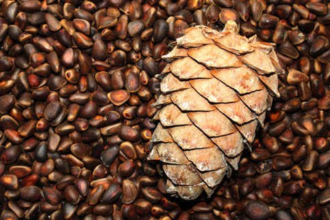 Приглашаю в полезную закупку.. 
Ке...