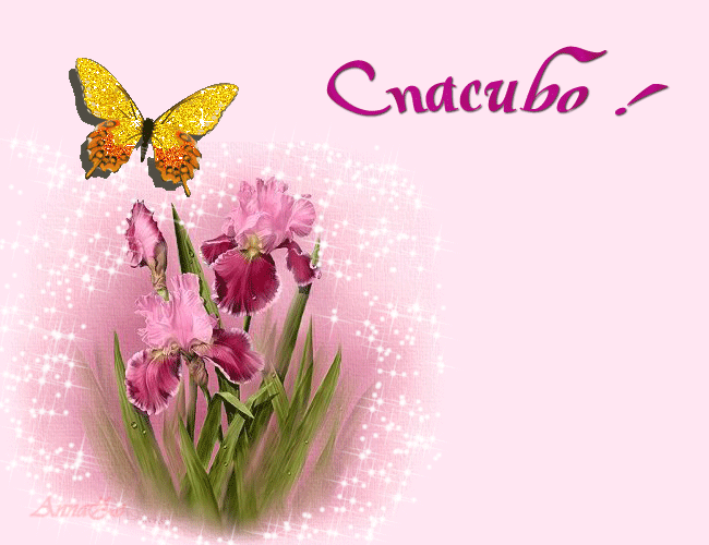 УВАЖАЕМЫЕ УЧАСТНИКИ! 
ПРИГЛАШАЮ В...