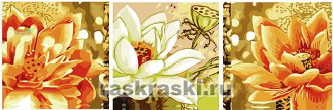 Раскраски по номерам и Мозаика из...