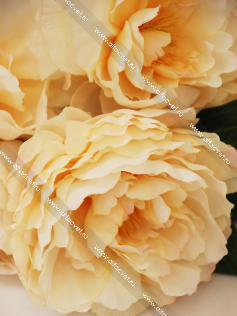 Сбор заказов.Искуственные цветы от...