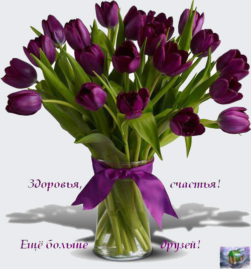 Здесь Вы найдёте то, что искали!...