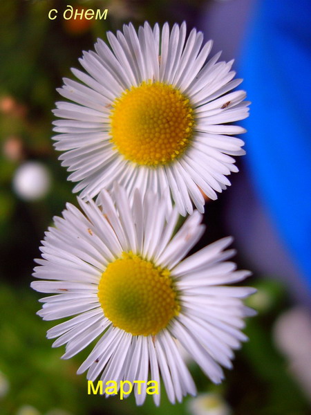 ДЕВОЧКИ, ДЕВУШКИ, ЖЕНЩИНЫ!!! 

С п...