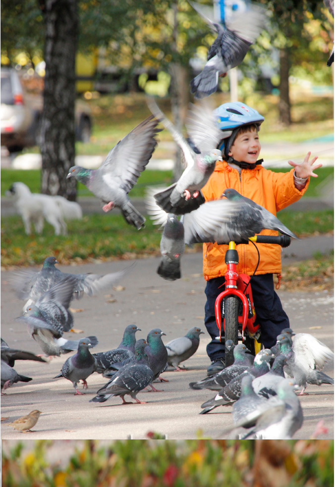 Сбор заказов. Детский транспорт от...