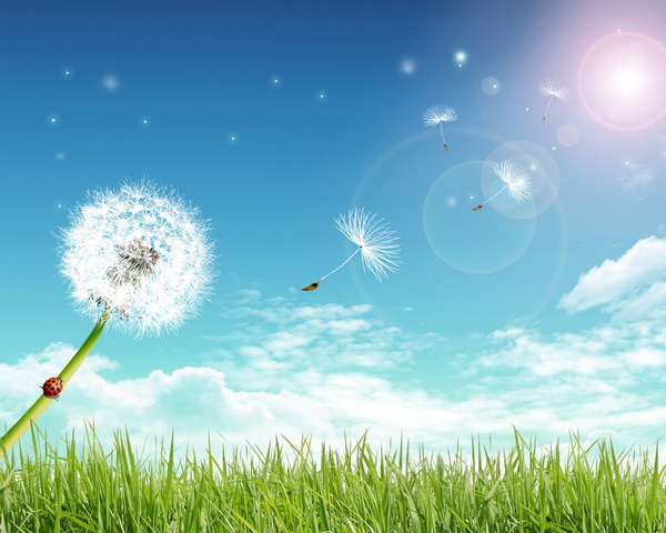 Важная информация. 

По закупкам н...