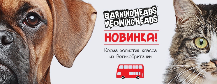 Сбор заказов. МультиЗоозакупка! То...