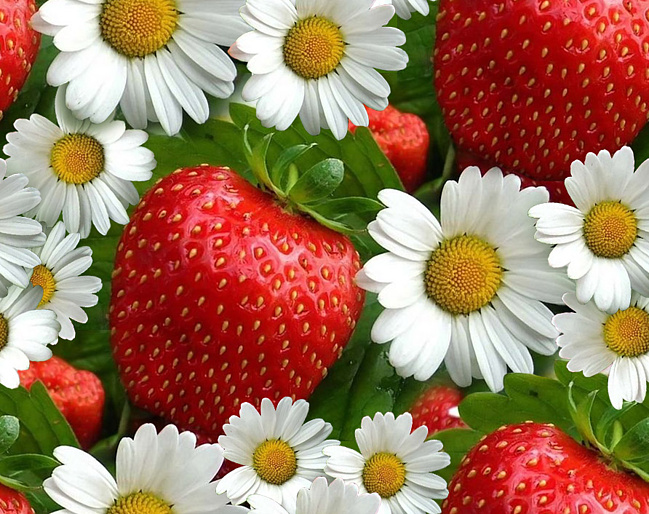 Девочки!!! 
Акция на детские зубны...