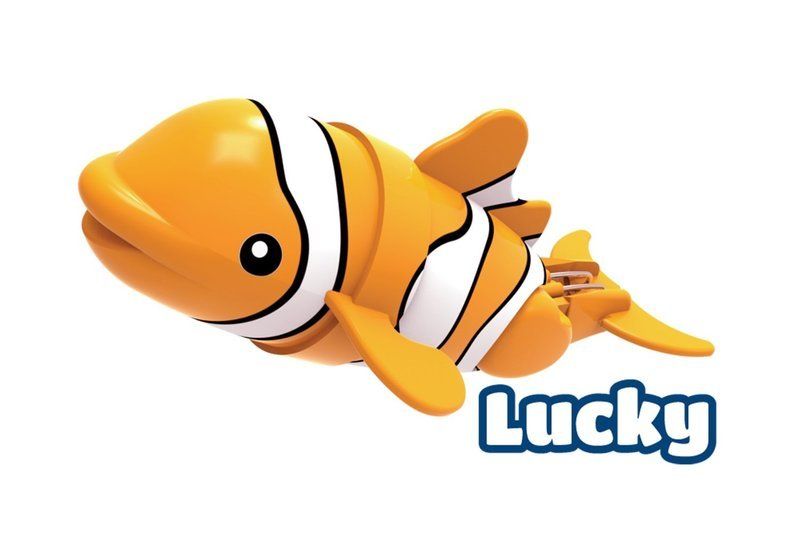 [b]Новые рыбки-акробаты пришли на...