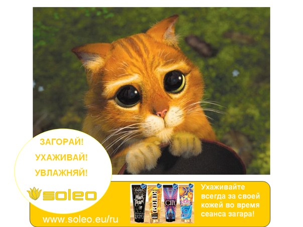 Сбор заказов. Косметика для загара...