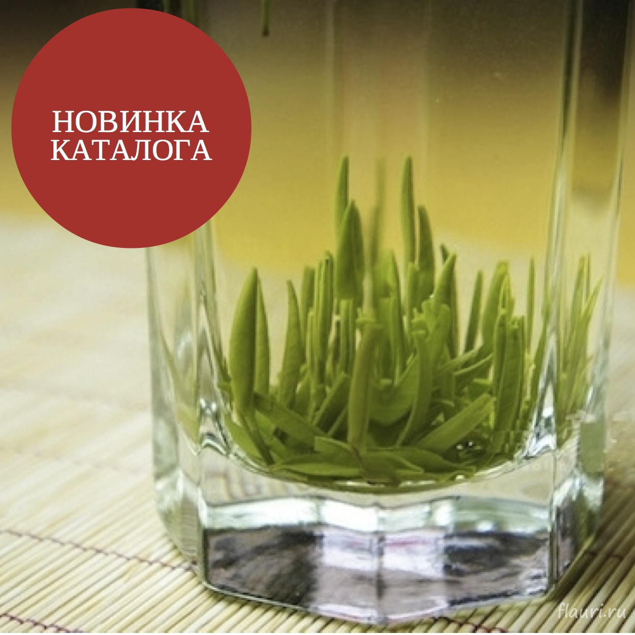 Сбор заказов. Бутик чая и кофе экс...