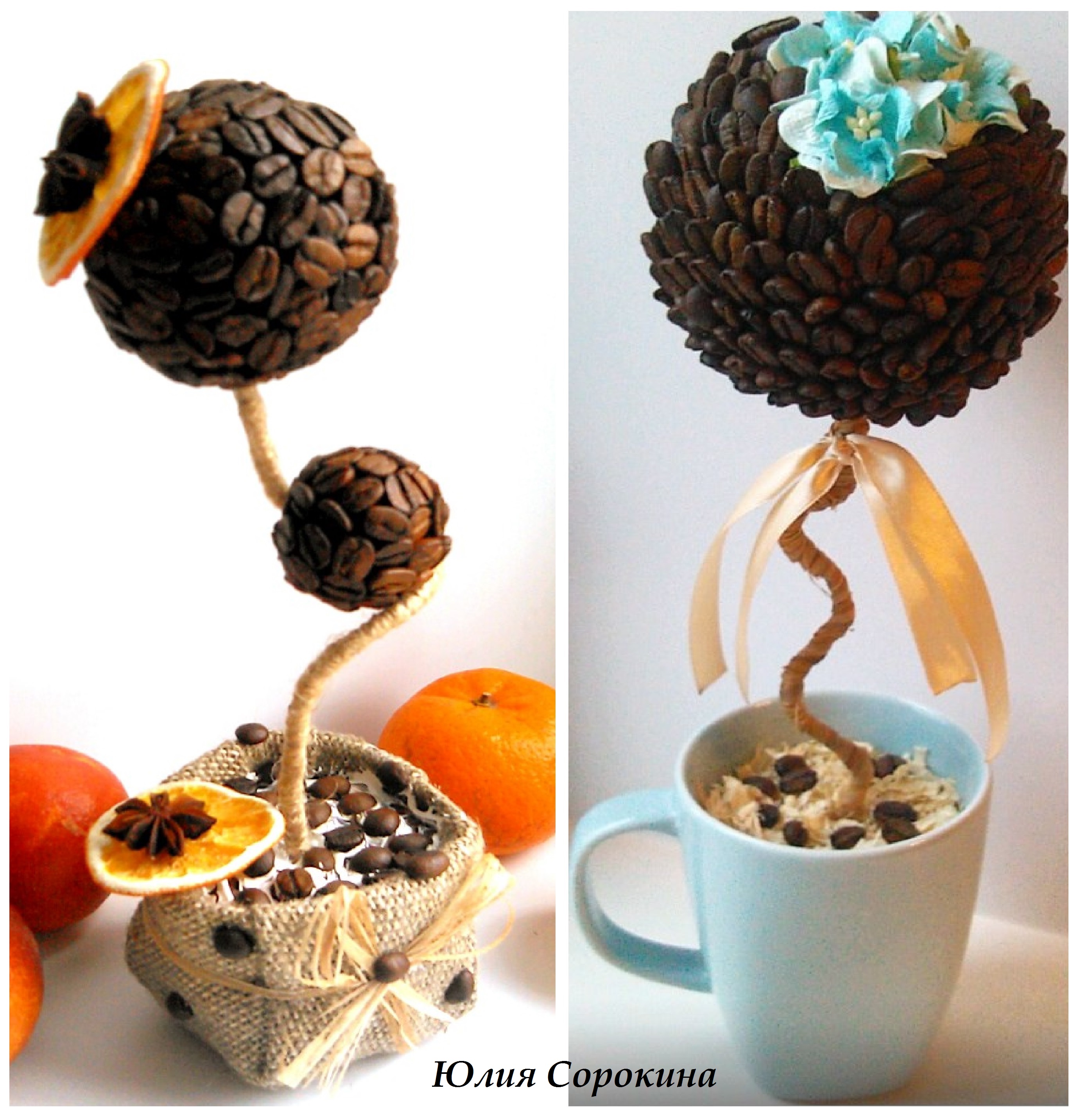 Топиарии. Кофейные деревья. 
Приве...